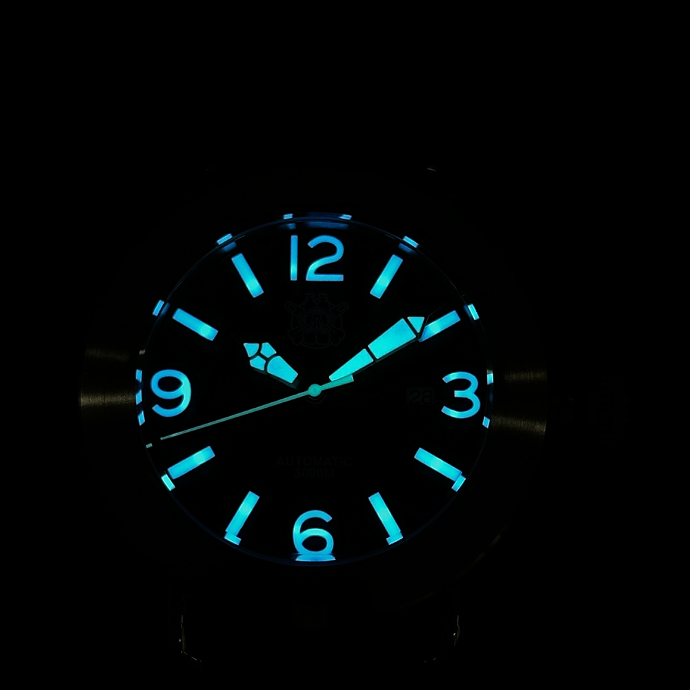 Steeldive 2025 Watch SD1912 Ov - Seiko Watch Prospex recension och pris