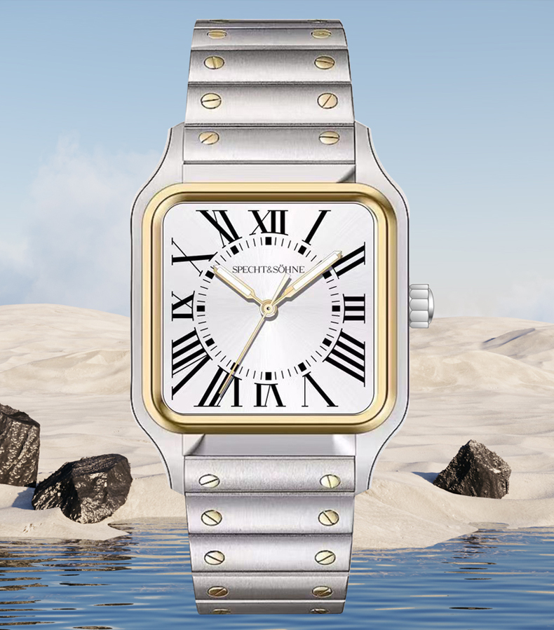 2025 New Arrivals SPECHT&SOHNE - Cartier Watch Santos recension och pris