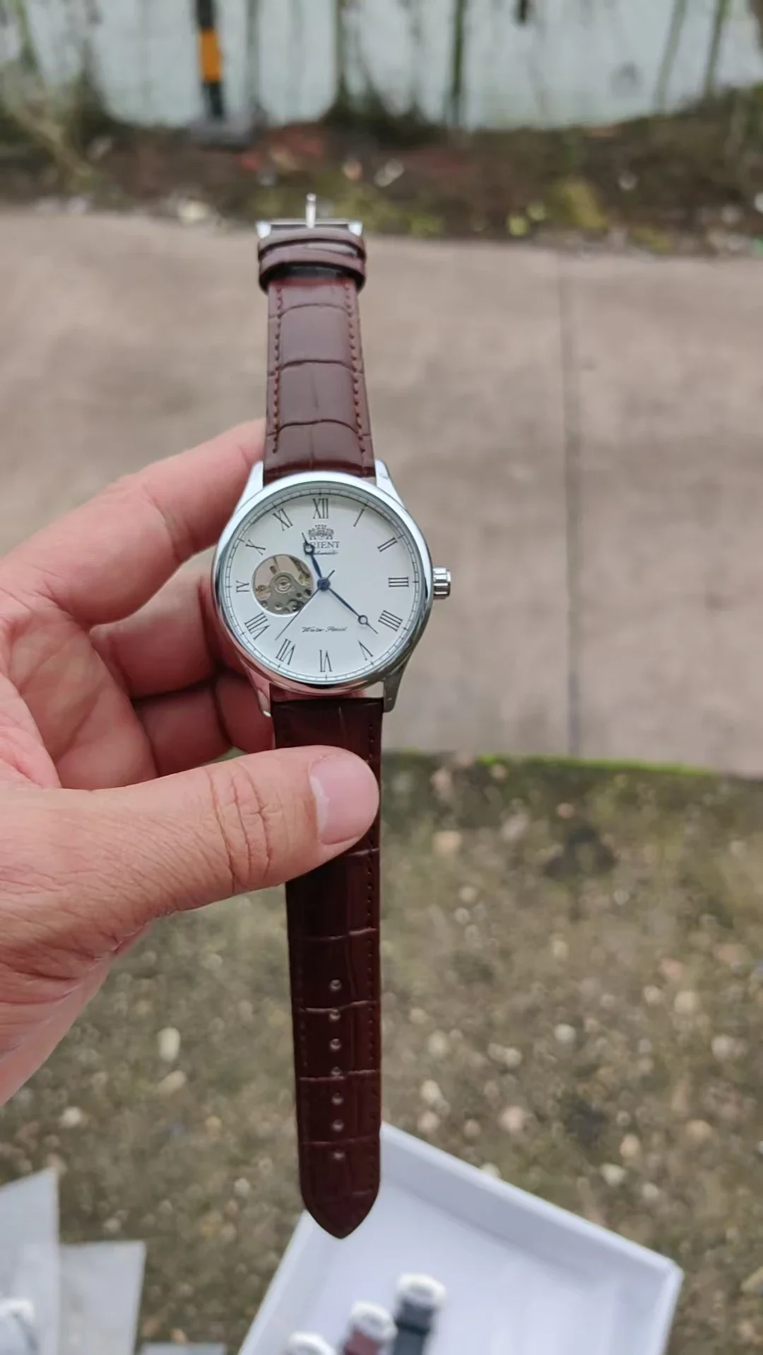 DFDG Mechanical Skeleton Watch - Seiko Watch Presage recension och pris