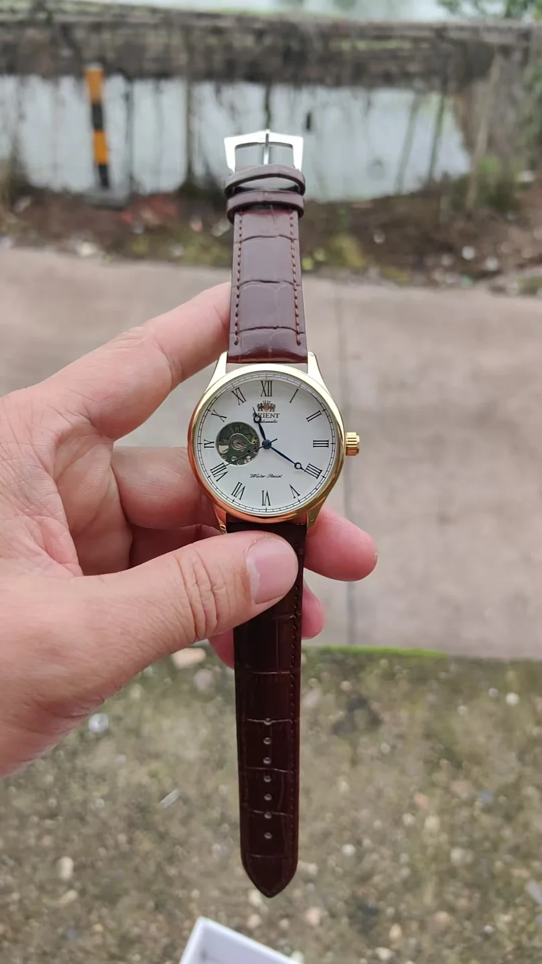 DFDG Mechanical Skeleton Watch - Seiko Watch Presage recension och pris