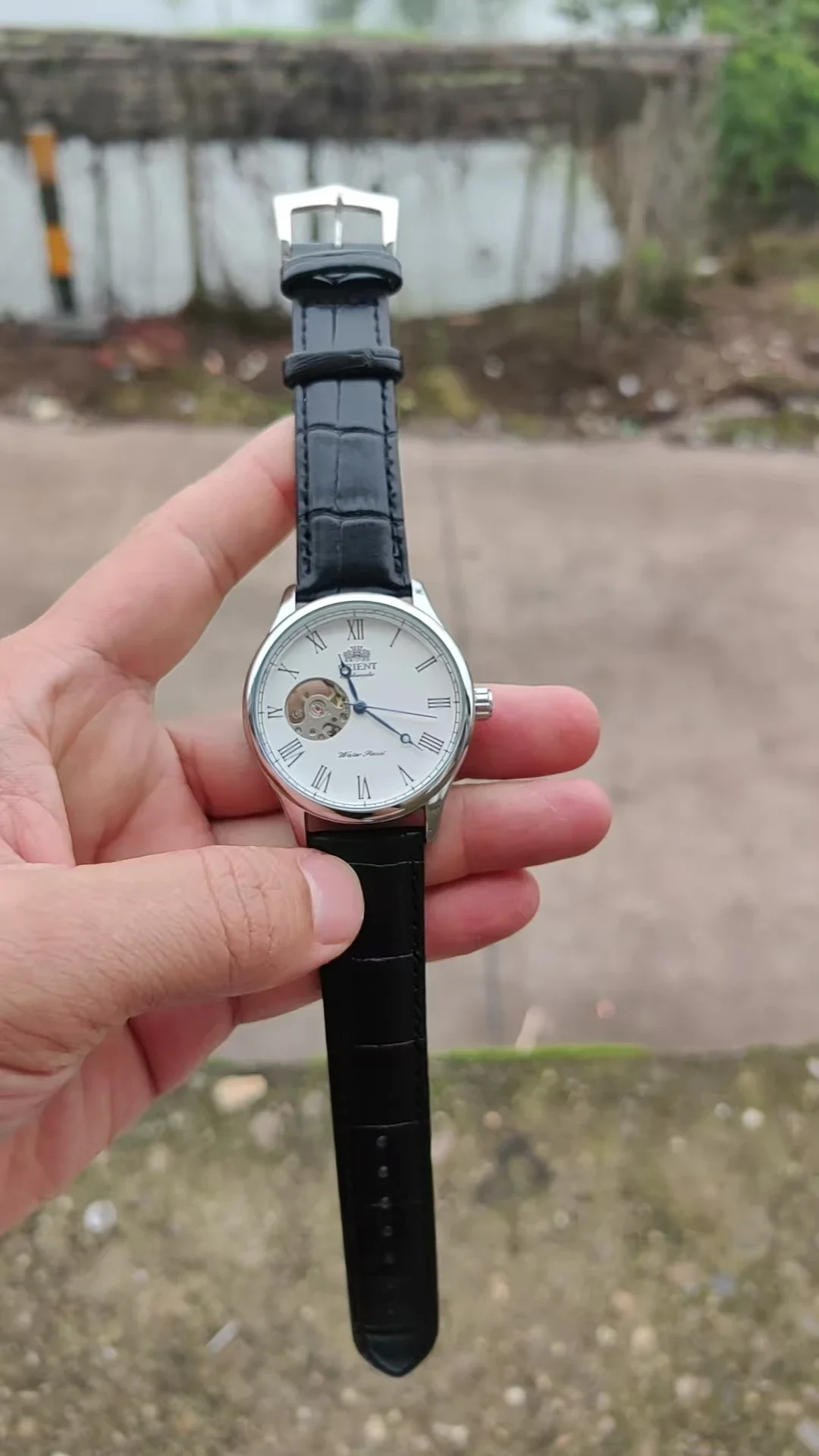 DFDG Mechanical Skeleton Watch - Seiko Watch Presage recension och pris